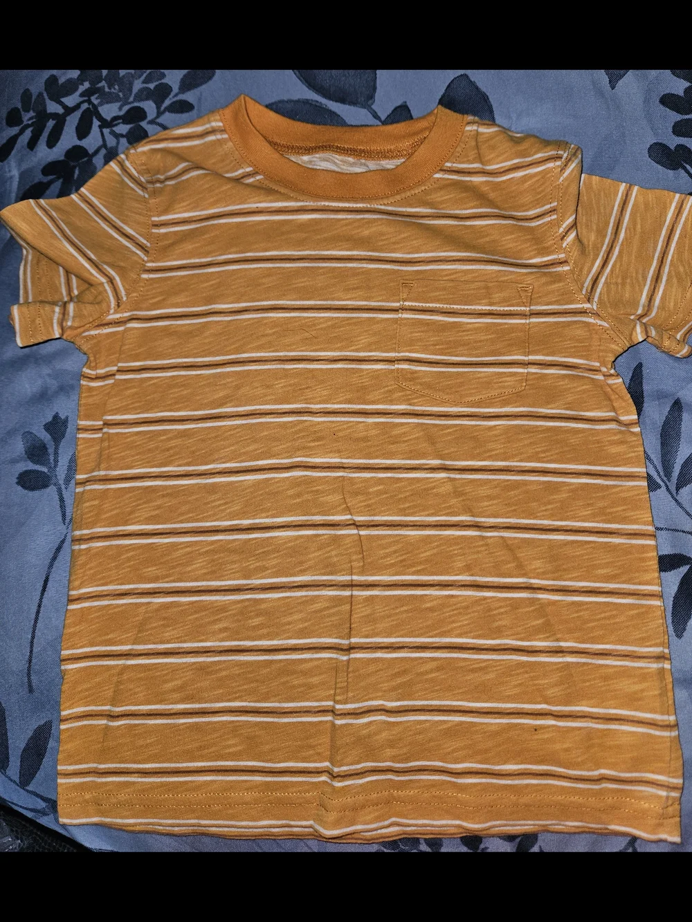 2 Carter's Toddler Tees Bundle 4T